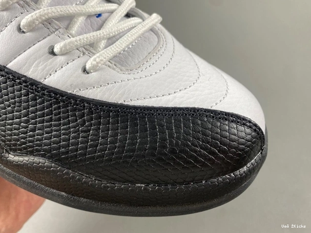Jordan Trendsetting 12 CT8013- Air 3860 732 0618
